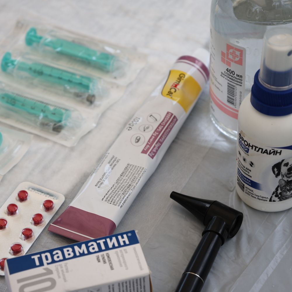 Medical Store