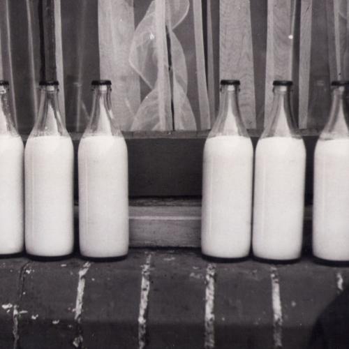 Fresh Full Cream Milk 1L