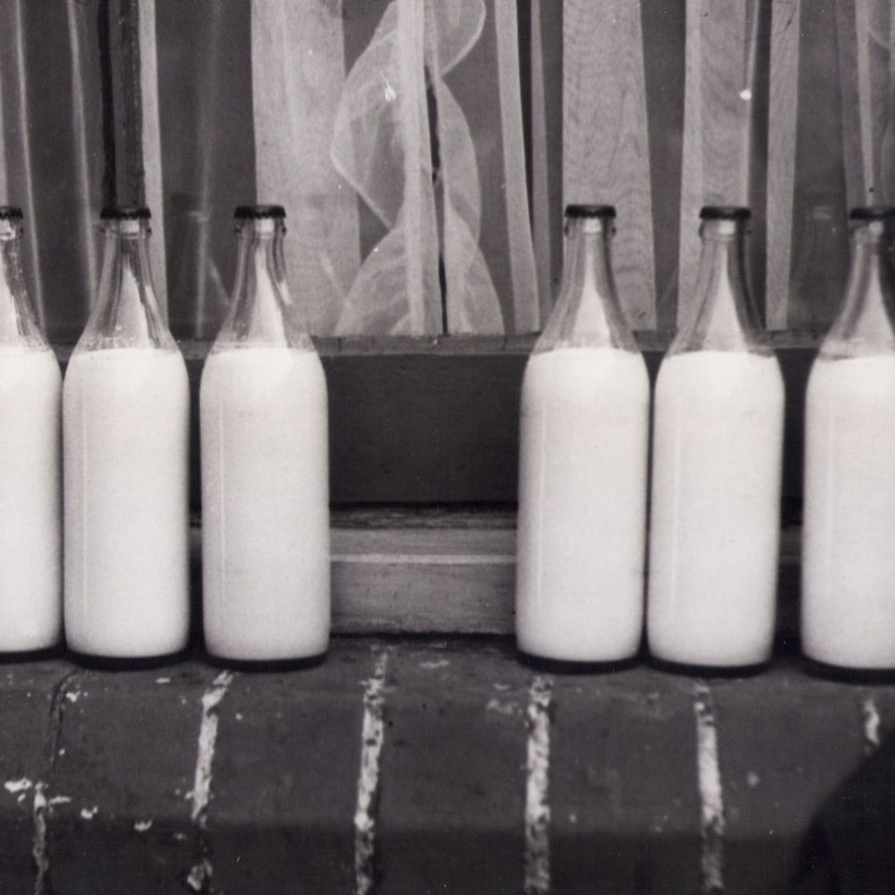 Fresh Full Cream Milk 1L