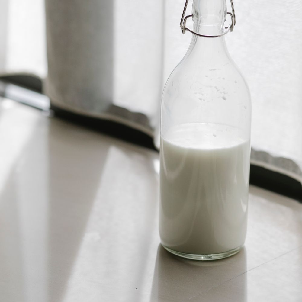 Fresh Full Cream Milk 1L – image 4
