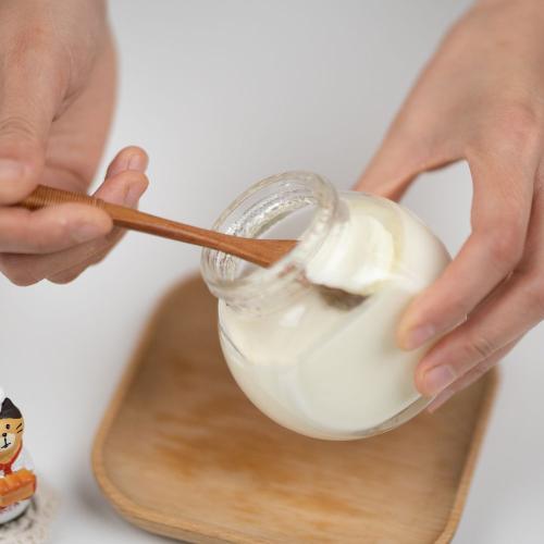 Plain Yogurt 500g