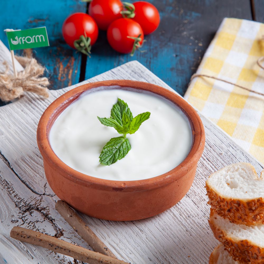 Plain Yogurt 500g – image 4