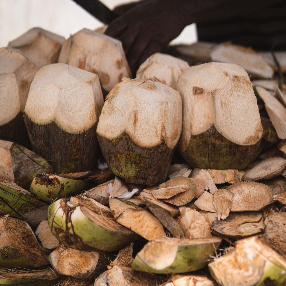 Coconut Water 330ml – image 3