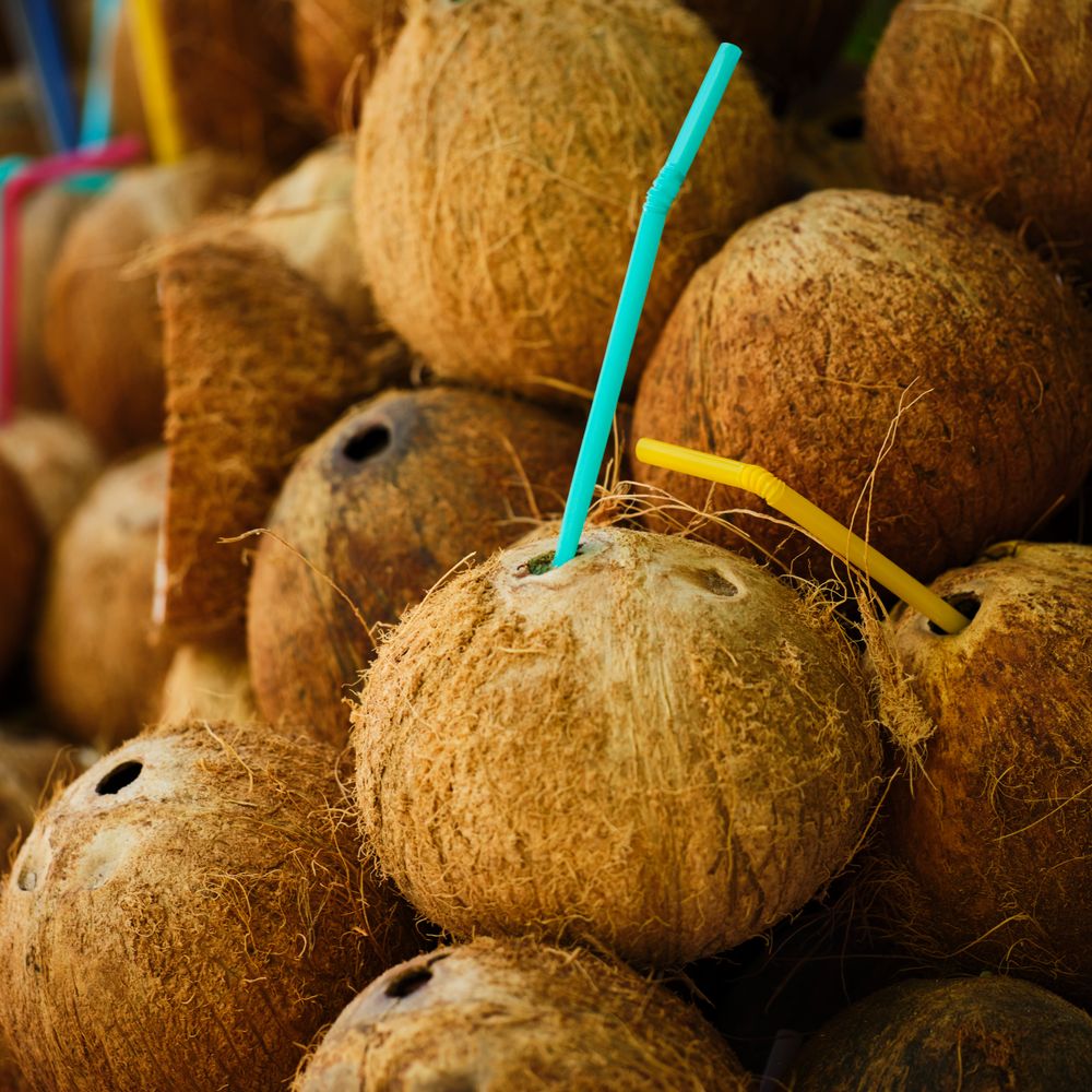 Coconut Water 330ml – image 4