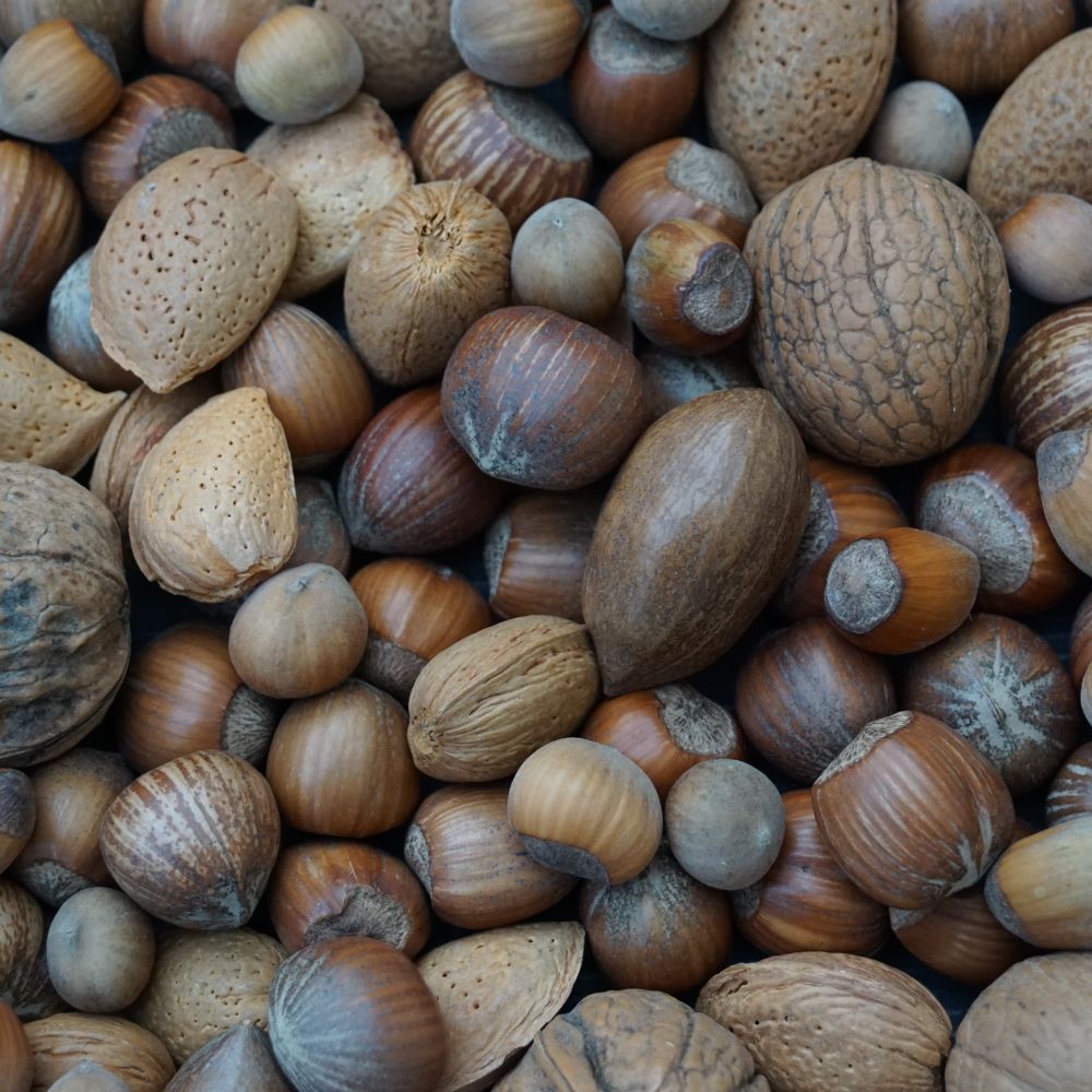 Mixed Dry Fruit 250g – image 4